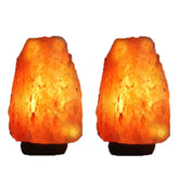 2X 4-6 Kg Himalayan Salt Lamp